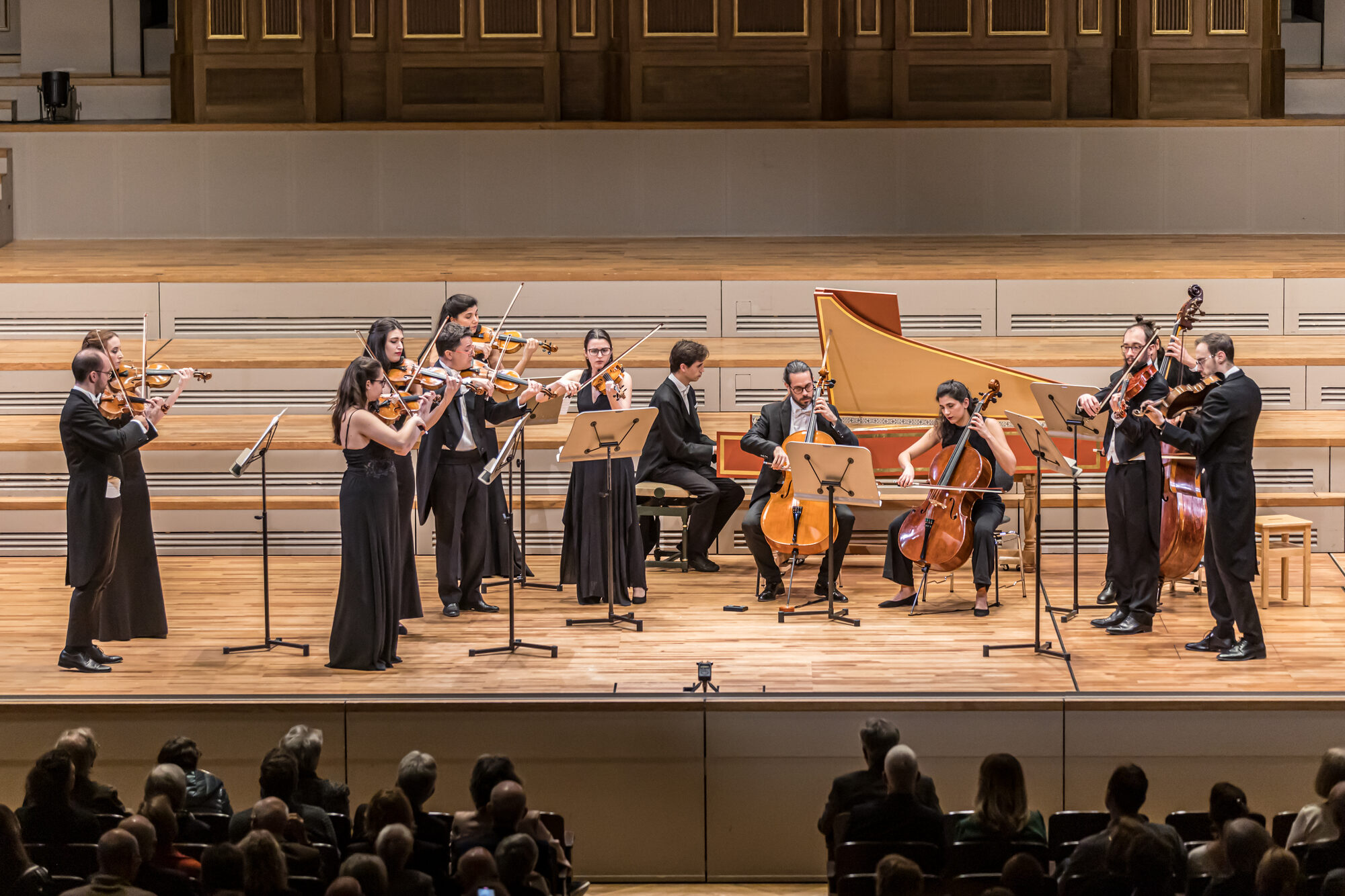 L'Appassionata alla Tonhalle di Zurigo, dettaglio dell'esibizione